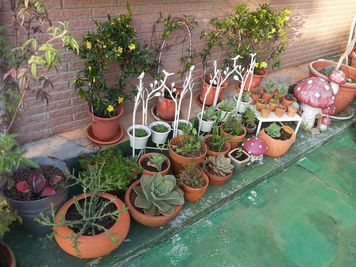 جاردن لايف هوم ستاي مبيت وإفطار Xinshe المظهر الخارجي الصورة